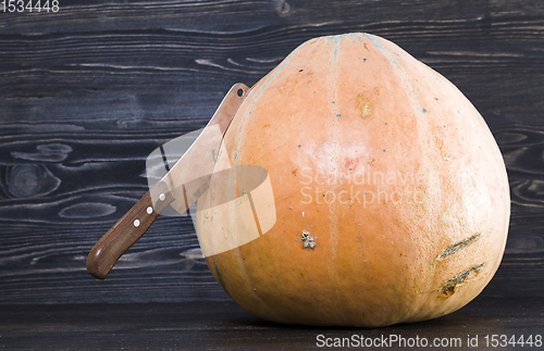 Image of ripe pumpkin on the kitchen