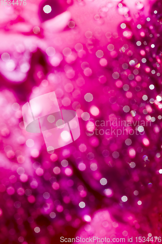 Image of red peony after rain