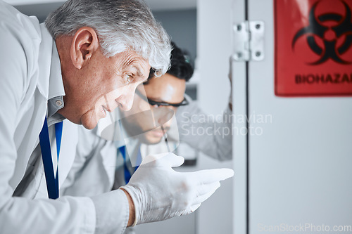 Image of Senior scientist, team and pointing in lab for analysis, experiment results and partnership for virus growth. Science men, teamwork and study for medical research with hazardous bacteria in hospital