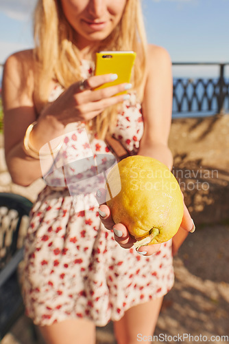 Image of Phone, social media and woman hands with lemon on holiday with photography and online on vacation. Young female person, mobile and freedom with produce photo in a city outdoor with citrus in Italy