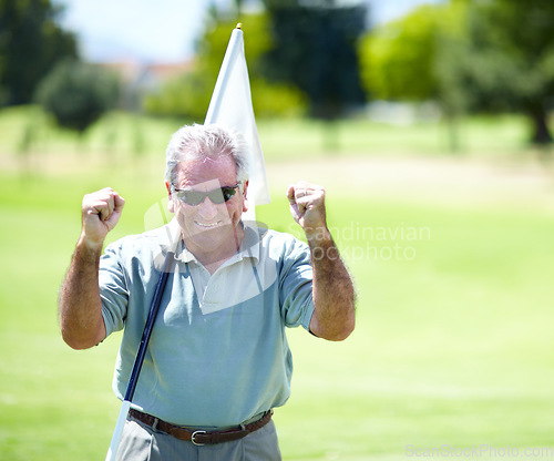 Image of Senior man, flag or golfer with success in a workout winning with birdie success on a golf course. Fists, golfing celebration or happy mature player training in sports game smiling in retirement