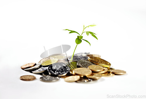 Image of Money, savings and a plant for growth of cash, financial wealth and change on a white background. Studio, future and plants with coin for investment, banking or finance progress for banking and loan