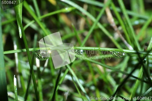 Image of Drops water