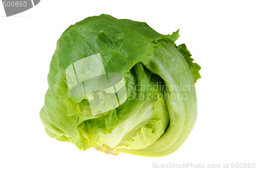 Image of Iceberg lettuce