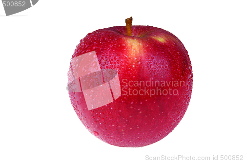 Image of Red apple