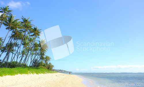 Image of Tropical ocean, trees and sky by landscape with mockup space, nature and beach with summer sunshine. Outdoor, Hawaii and natural sea environment with palm tree, sand and water by island with horizon