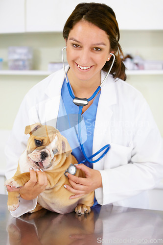 Image of Portrait, happy doctor or dog at vet clinic for animal healthcare checkup in nursing consultation with stethoscope. Inspection, nurse or sick bulldog pet or puppy get exam or medical test for help