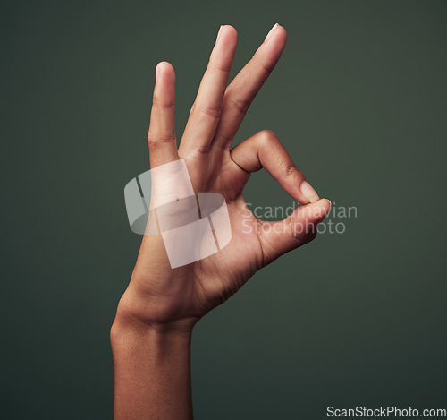 Image of Person hand, OK gesture and emoji with agreement, approval and feedback isolated on green background. Yes, like and thank you with mockup space, okay sign and expression of support closeup in studio