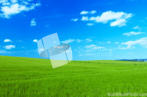 Image of Hill, clouds and blue sky with landscape of field for farm mockup space, environment and ecology. Plant, grass and horizon with countryside meadow for spring, agriculture and sustainability