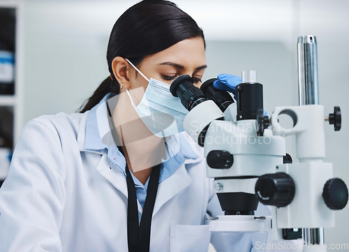 Image of Research, laboratory and woman with microscope for medical analysis, science and lab test. Healthcare, biotechnology and female scientists with equipment for sample, experiment and examine virus