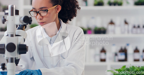 Image of Science, pharmacy and microscope with woman in laboratory for expert research, medical and planning. Idea, vaccine analysis and medicine with female scientist for chemistry, healthcare and sample