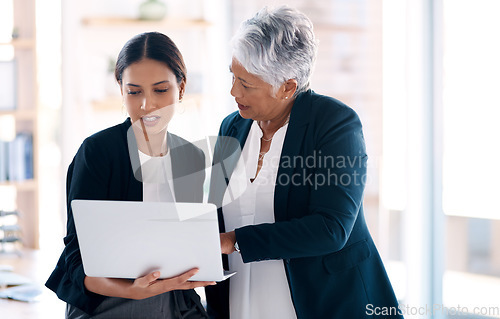 Image of Teamwork, mentor and business women with laptop for discussion, cooperation and planning online. Computer, collaboration and senior manager with female accountant for training, coaching or internship