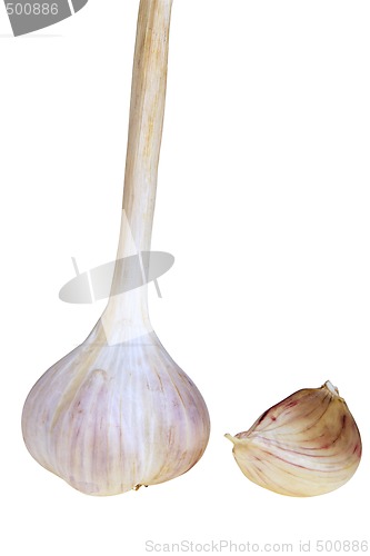 Image of Garlic