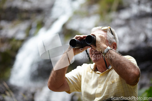 Image of Binoculars, forest and man explore in forest of travel, journey or outdoor adventure and carbon footprint tourism. Watch, search and senior person birdwatching in nature, mountains or eco environment