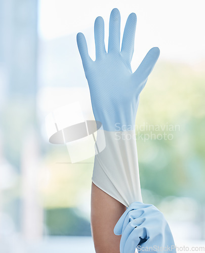 Image of Hands, housekeeper and gloves for safety cleaning, hygiene or home maintenance indoors. Hand of person or cleaner getting ready with rubber glove for sanitize, bacteria or germ removal in the house