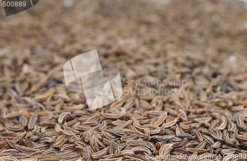 Image of Cumin