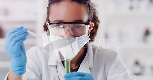 Image of Science, medical and plant with woman in laboratory for pharmacy, agriculture and research. Biotechnology, ecology and healthcare with gmo scientist and test tube for biology, vaccine and medicine