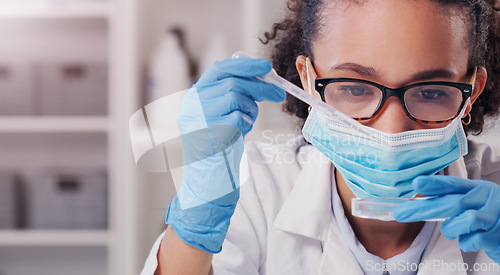 Image of Woman, scientist petri dish and face mask with focus on futuristic research and virus data. Science, African female person and young employee working in a laboratory with chemistry test analysis