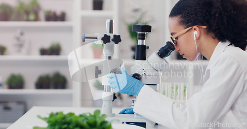 Image of Science, microscope and plant with woman in laboratory for medical, pharmacy and research. Biotechnology, ecology and healthcare with gmo scientist and test tube for biology, vaccine and medicine
