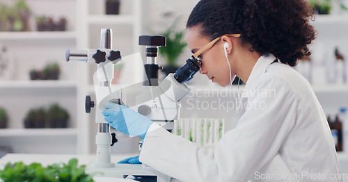 Image of Science, ecology and microscope with woman in laboratory for botany expert, medical and planning. Biotechnology, vaccine analysis and medicine with scientist for research, healthcare and pharmacy