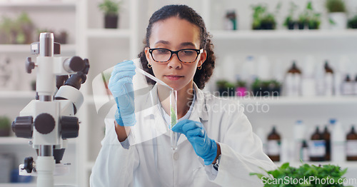 Image of Lab worker, woman ecology scientist and test tube with chemical of employee with science work. Laboratory, medical and plant for disease, virus and health analysis doing futuristic research with tech