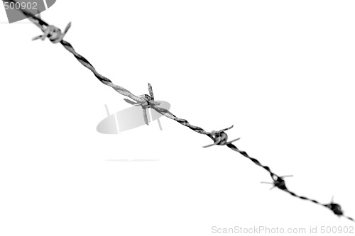 Image of Barb Wire