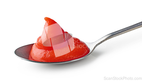 Image of vegetable puree in spoon