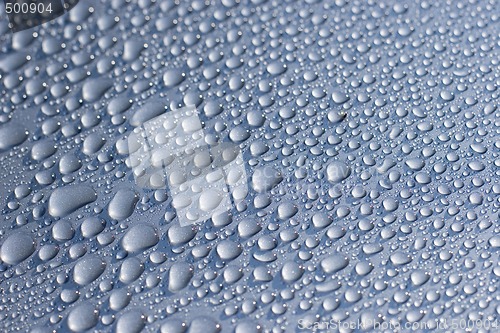 Image of Water droplets