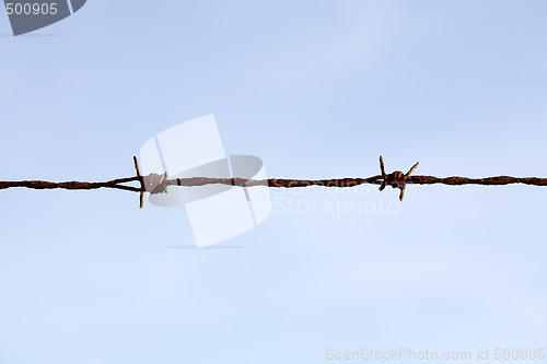 Image of Barbwire