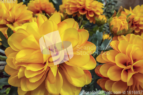 Image of artificial flowers