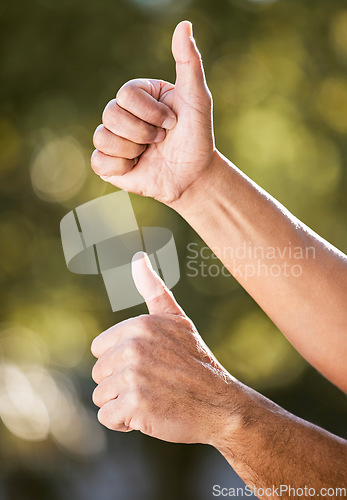 Image of Thumbs up, hands and partner with team building outdoor for solidarity, agreement or emoji in summer sunshine. Partnership, people and sign for yes, teamwork or motivation in park, garden or backyard