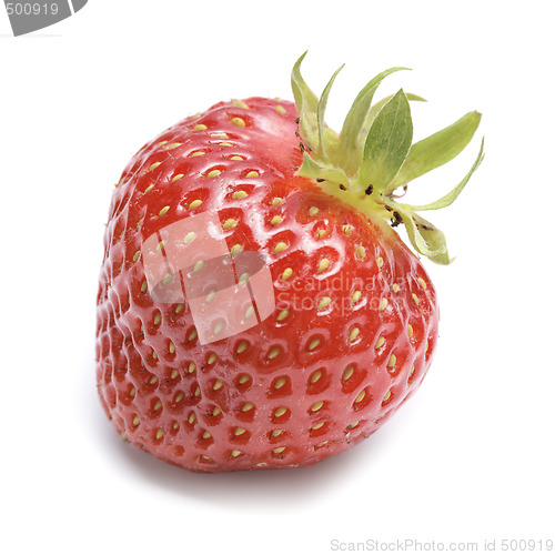 Image of Strawberry
