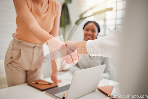 Image of Closeup of businesswomen shaking hands in the office for a partnership, deal or corporate collaboration. Meeting, welcome and female employees with a handshake for an onboarding, hiring or agreement.