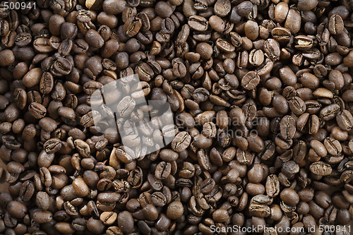 Image of Coffee beans