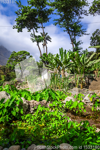 Image of Paul Valley landscape in Santo Antao island, Cape Verde