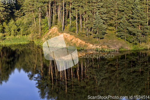 Image of reflection of pines in water