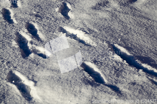 Image of snow drifts