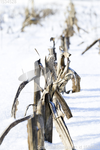 Image of snow-covered field