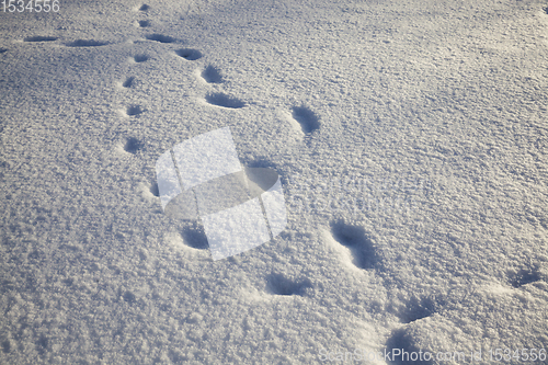 Image of snow drifts