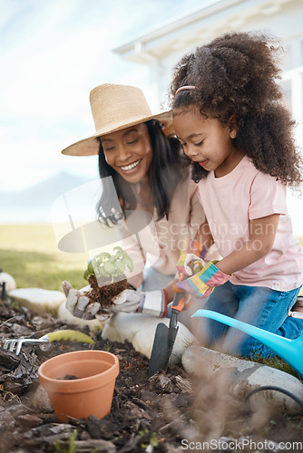 Image of Gardening, mother and child with plant in soil for learning environmental, agriculture and nature skills. Landscaping, family and happy girl with mom planting sprout in fertilizer, dirt and earth