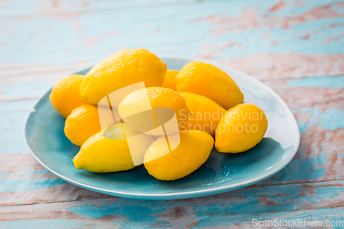 Image of Limequats ( botanically known as Citrus x floridana ) hybrid of West Indian lime and kumquat