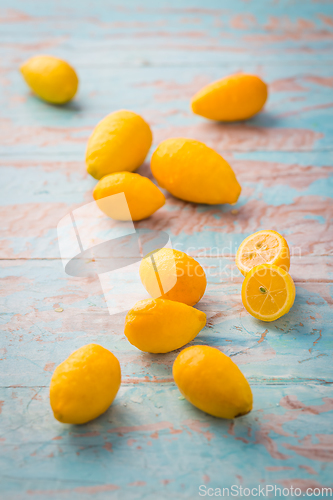 Image of Limequats ( botanically known as Citrus x floridana ) hybrid of West Indian lime and kumquat