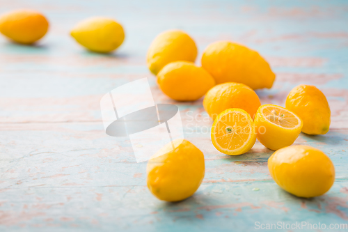 Image of Limequats ( botanically known as Citrus x floridana ) hybrid of West Indian lime and kumquat