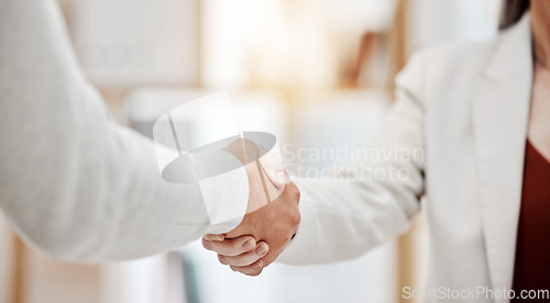 Image of Business people, handshake and office introduction, partnership agreement or welcome to creative agency. Professional person, clients or partner shaking hands, meeting and deal or b2b onboarding