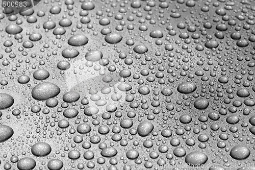 Image of Water beads