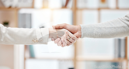 Image of Thank you, business colleagues shaking hands and at workplace in an office. Partnership or welcome, interview or onboarding and coworkers with handshake for congratulations or success together