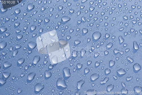 Image of Water droplets