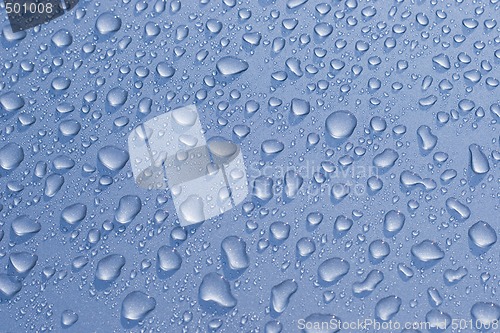 Image of Water droplets