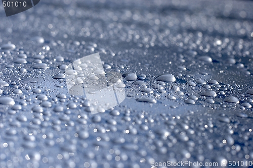 Image of Water droplets