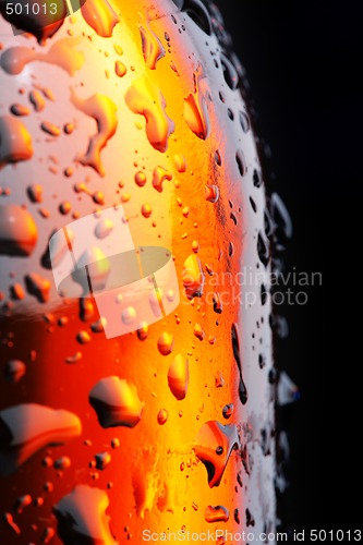 Image of Beer bottle